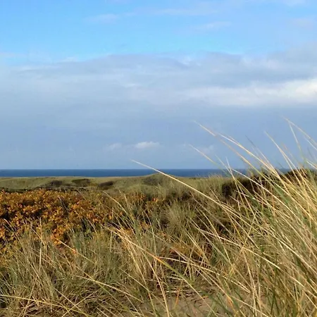 Daire Luette-deern *